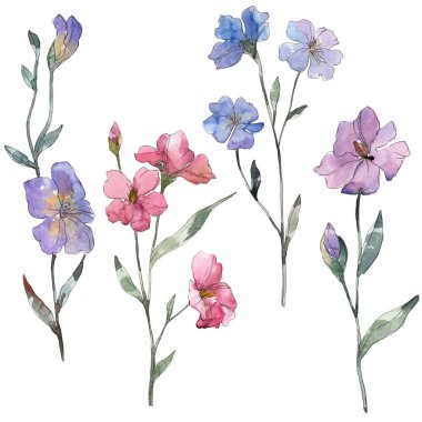 Pembe ve mor keten botanik çiçek. Vahşi bahar yaprak izole kır çiçeği. Suluboya arka plan illüstrasyon küme. Suluboya çizim moda aquarelle. İzole keten illüstrasyon öğesi.
