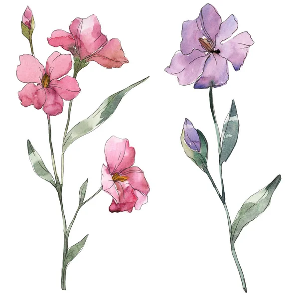 粉红色和紫色亚麻花卉植物花 野生春叶野花分离 水彩背景插图集 水彩画时尚水彩画 独立的亚麻插图元素 — 图库照片