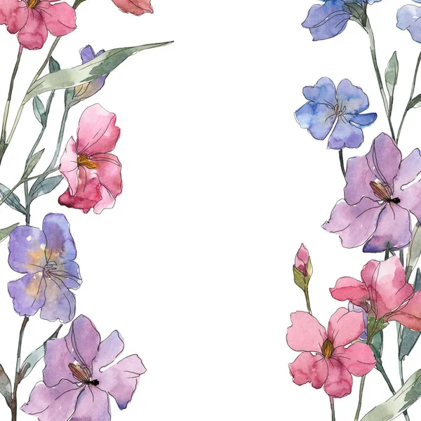 Ботанический Цветок Розовый Фиолетовый Лен Дикий Весенний Цветок Изолирован Набор — стоковое фото
