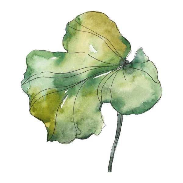ロータス用いる植物花 野生春葉のワイルドフラワーが分離されました 水彩画背景イラスト セット 水彩描画ファッション Aquarelle 孤立したロータスの図要素 — ストック写真