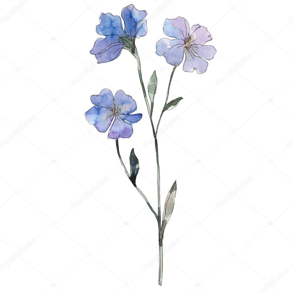 Purple flax floral botanical flower. Wild spring leaf wildflower isolated. Watercolor background illustration set. Watercolour drawing fashion aquarelle. Isolated flax illustration element.