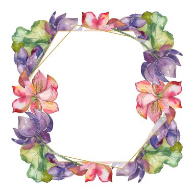 Pembe ve mor lotus foral botanik çiçek. Vahşi bahar yaprak izole kır çiçeği. Suluboya arka plan illüstrasyon küme. Suluboya çizim moda aquarelle. Çerçeve kenarlığı süsleme Meydanı.