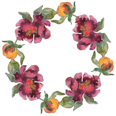 Sarı ve bordo şakayık botanik çiçek. Vahşi bahar yaprak izole kır çiçeği. Suluboya arka plan illüstrasyon küme. Suluboya çizim moda aquarelle. Çerçeve kenarlığı süsleme Meydanı.