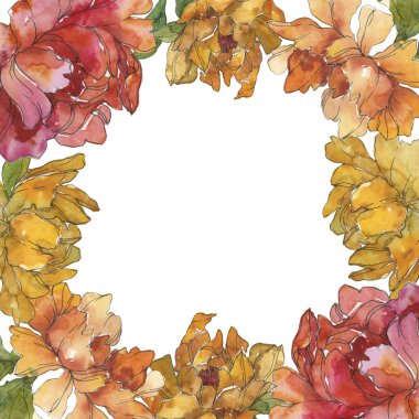 Sarı ve kırmızı üzerine beyaz izole peonies. Suluboya arka plan illüstrasyon küme. Çerçeve kenarlığı süsleme kopya alanı ile.