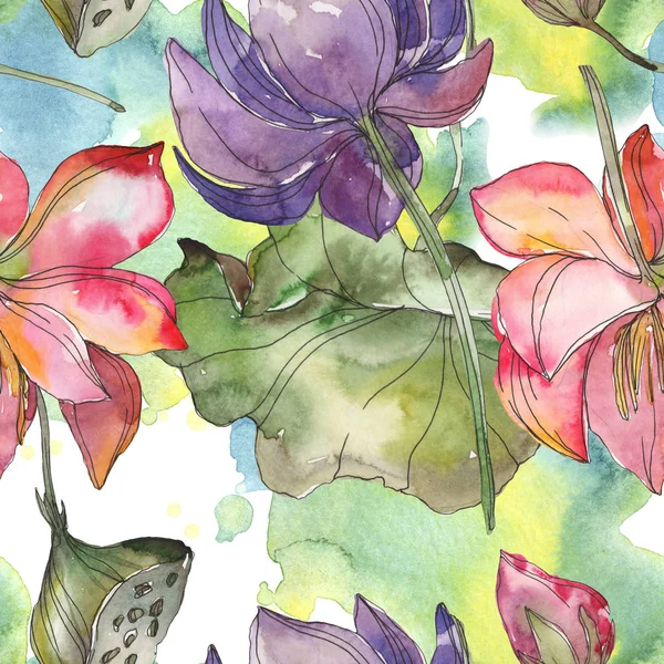 Roze Paarse Botanische Lotusbloem Wild Voorjaar Blad Geïsoleerd Aquarel Illustratie — Stockfoto