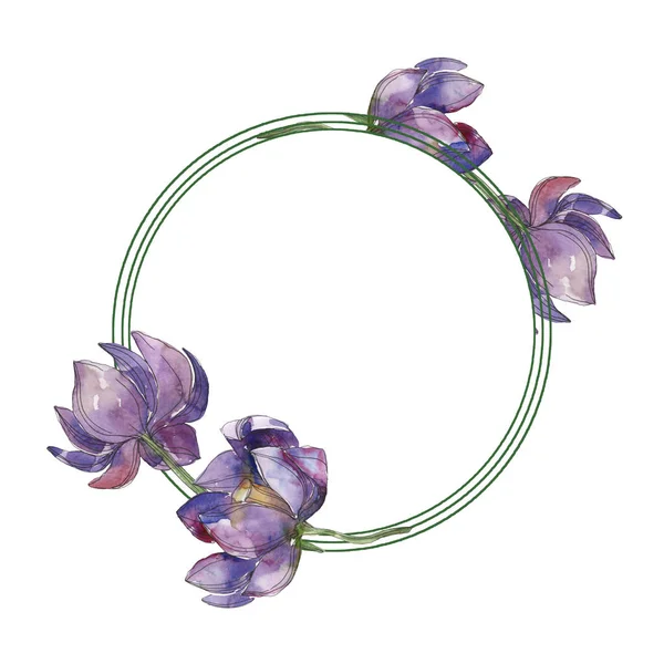 Fleur Botanique Forale Lotus Violet Feuille Sauvage Printemps Fleur Sauvage — Photo