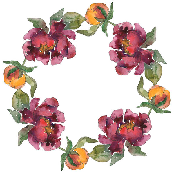 Желтый и бордовый пионский цветочный ботанический цветок. Дикий весенний цветок изолирован. Набор акварельных фонов. Акварель для рисования акварелью. Граничный орнамент
.