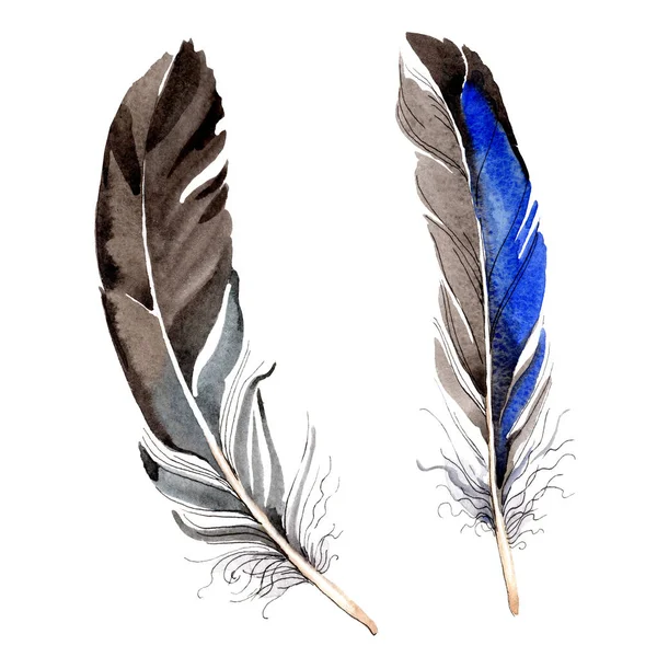 Bird Feathers Wing Isolated White Watercolor Background Illustration Set — Stock Photo, Image