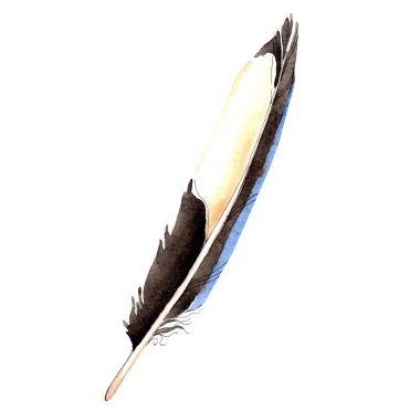 Kuş tüyü beyaz izole Wing. Suluboya arka plan illüstrasyon öğesi.