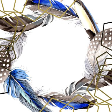 Kuş tüyleri beyaz izole Wing. Suluboya arka plan illüstrasyon küme. Çerçeve kenarlığı süsleme.