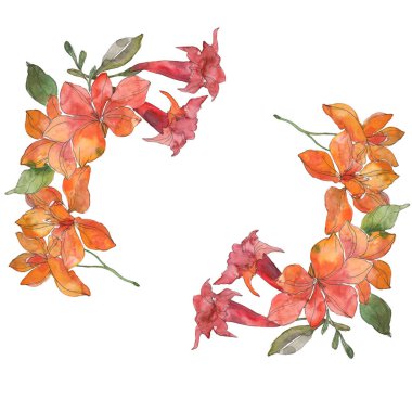 Kırmızı ve sarı tropikal Çiçek Botanik çiçekler. Vahşi bahar yaprak izole kır çiçeği. Suluboya arka plan illüstrasyon küme. Suluboya çizim moda aquarelle. Çerçeve kenarlığı süsleme Meydanı.