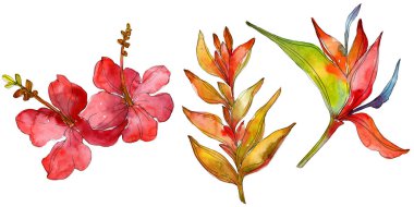 Flowers isolated on white. Watercolor background illustration set.  clipart