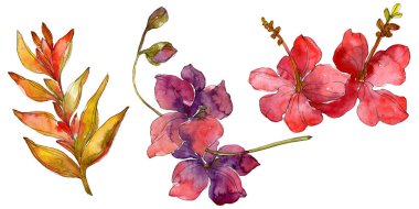 Flowers isolated on white. Watercolor background illustration set.  clipart