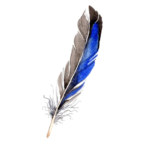 Bird Feather Wing Isolated White Watercolor Background Illustration Element — Stock Photo, Image