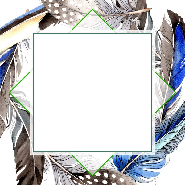 Bird Feathers Wing Isolated White Watercolor Background Illustration Set Frame — Stock Photo, Image