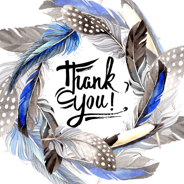 Птичьи перья из крыла изолированы на белом. Набор акварельных фонов. Граничный орнамент
.