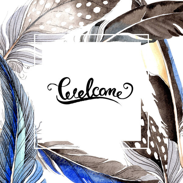 Птичьи перья из крыла изолированы на белом. Набор акварельных фонов. Граничный орнамент
.