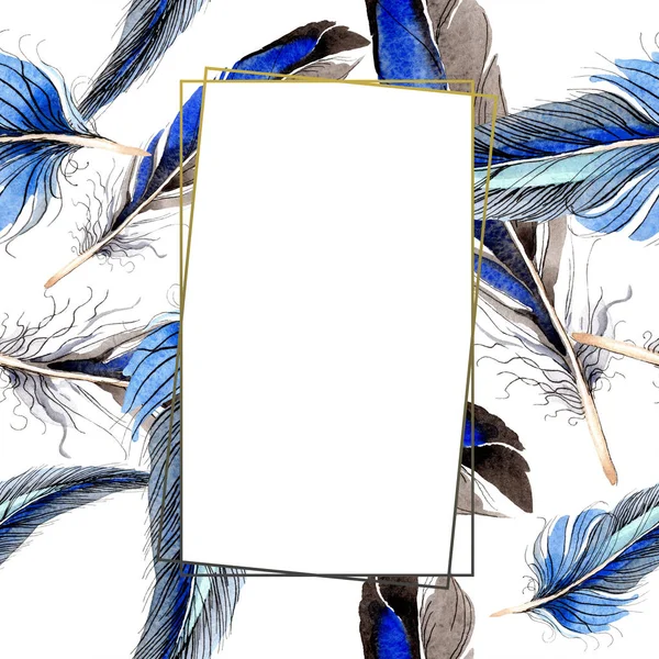 Bird Feathers Wing Isolated White Watercolor Background Illustration Set Frame — Stock Photo, Image