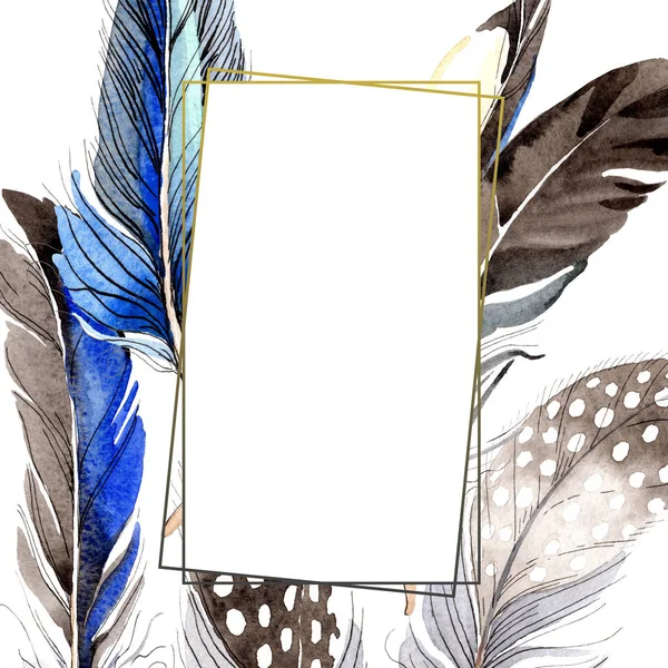 Bird Feathers Wing Isolated White Watercolor Background Illustration Set Frame — Stock Photo, Image