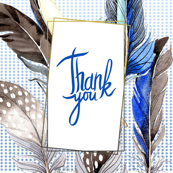 Птичьи перья из крыла изолированы на белом. Набор акварельных фонов. Граничный орнамент
.