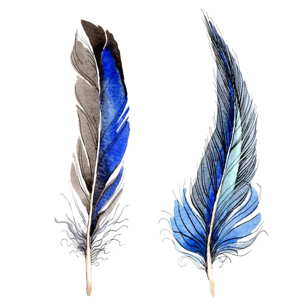 Bird Feathers Wing Isolated White Watercolor Background Illustration Set — Stock Photo, Image