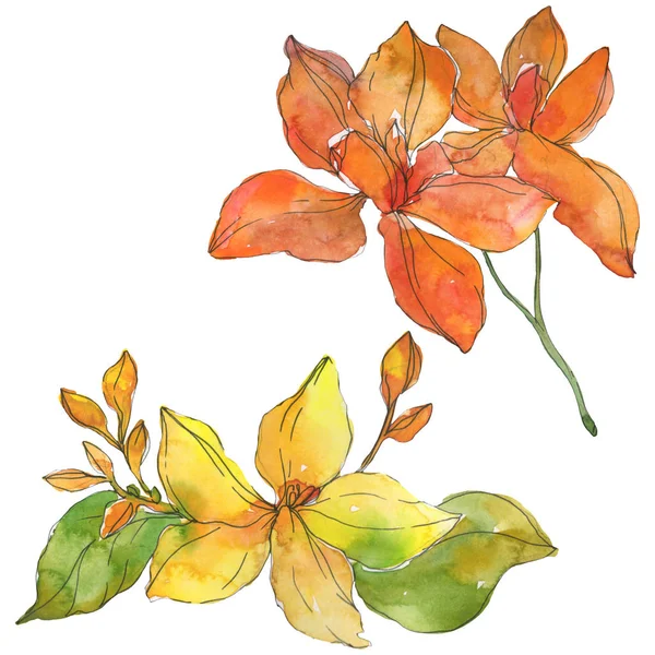 Red and yellow tropical floral botanical flowers. Wild spring leaf wildflower. Watercolor background illustration set. Watercolour drawing fashion aquarelle. Isolated flower illustration element.