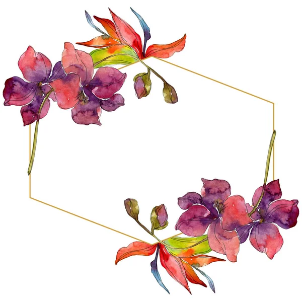 Flowers isolated on white. Watercolor background illustration set. Frame border ornament with copy space.