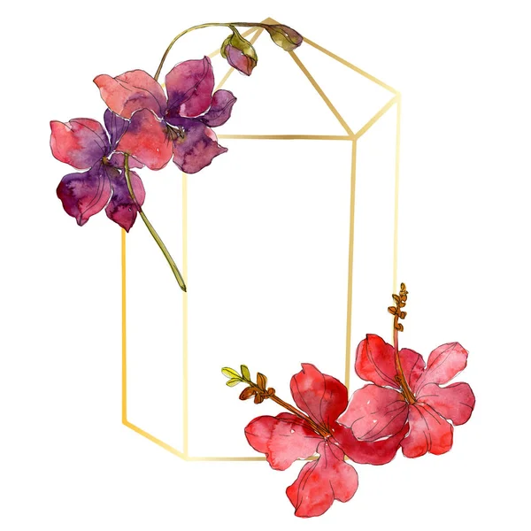 Flowers Isolated White Watercolor Background Illustration Set Frame Border Ornament — Stock Photo, Image