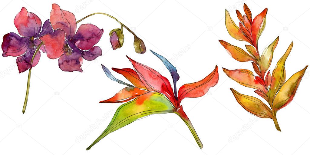 Flowers isolated on white. Watercolor background illustration set. 