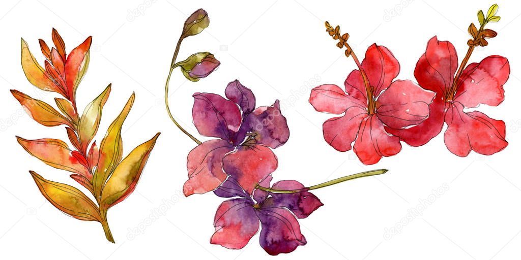 Flowers isolated on white. Watercolor background illustration set. 