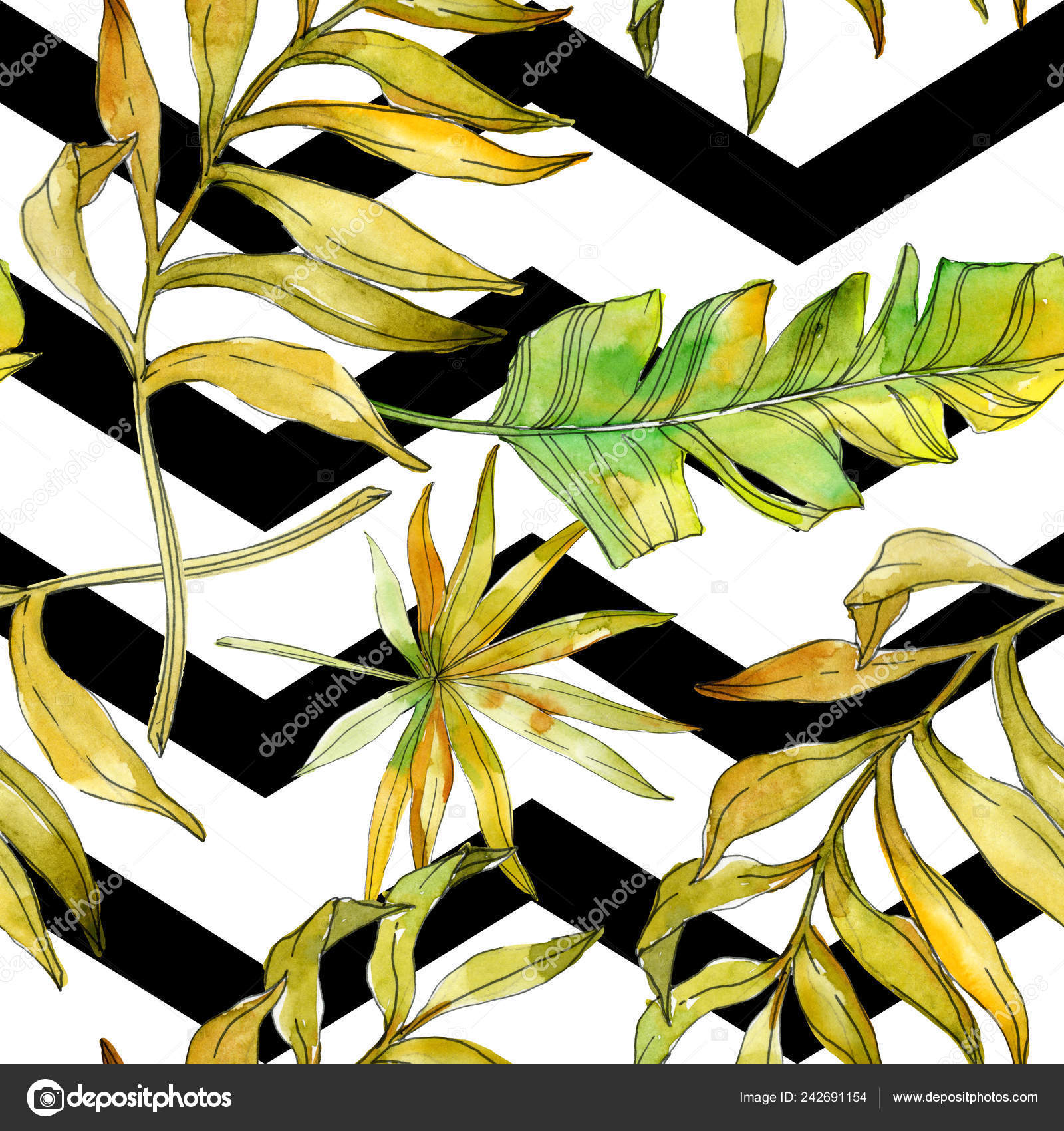 Botaniczny Kwiatów Tropikalnych Kwiatów Egzotyczne Rośliny