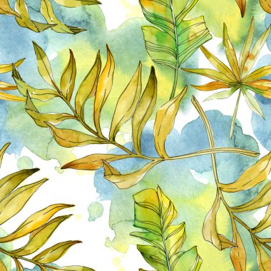 Tropikal Çiçek Botanik çiçekler. Egzotik bitki yaprağı izole. Suluboya resim kümesi. Suluboya çizim moda aquarelle. Sorunsuz arka plan deseni. Kumaş duvar kağıdı yazdırma doku.