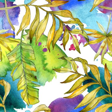 Tropikal Çiçek Botanik çiçekler. Egzotik bitki yaprağı izole. Suluboya resim kümesi. Suluboya çizim moda aquarelle. Sorunsuz arka plan deseni. Kumaş duvar kağıdı yazdırma doku.
