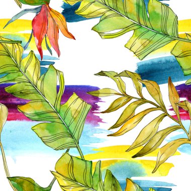 Tropikal Çiçek Botanik çiçekler. Egzotik bitki yaprağı izole. Suluboya resim kümesi. Suluboya çizim moda aquarelle. Sorunsuz arka plan deseni. Kumaş duvar kağıdı yazdırma doku.
