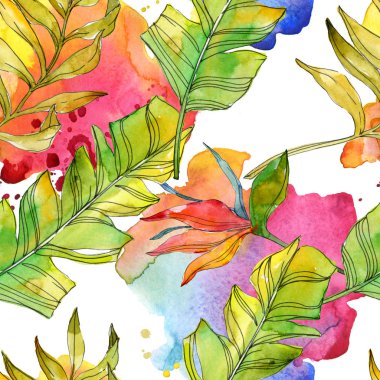 Tropikal Çiçek Botanik çiçekler. Egzotik bitki yaprağı izole. Suluboya resim kümesi. Suluboya çizim moda aquarelle. Sorunsuz arka plan deseni. Kumaş duvar kağıdı yazdırma doku.