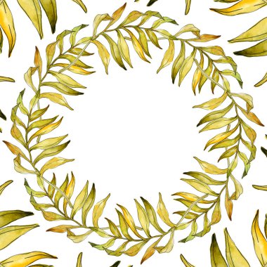 Tropikal Çiçek Botanik çiçekler. Egzotik bitki yaprağı izole. Suluboya arka plan illüstrasyon küme. Suluboya çizim moda aquarelle izole. Çerçeve kenarlığı süsleme Meydanı.