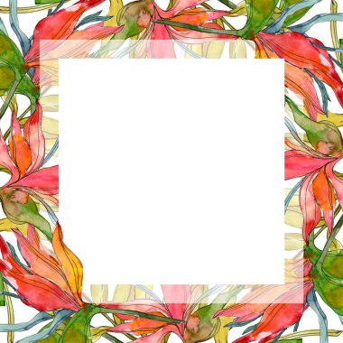 Tropical floral botanical flowers. Exotic plant leaf isolated. Watercolor background illustration set. Watercolour drawing fashion aquarelle isolated. Frame border ornament square. clipart