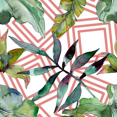 Yaprak yeşil bitki botanik. Egzotik tropik hawaiian yaz. Suluboya resim kümesi. Suluboya çizim moda aquarelle izole. Sorunsuz arka plan deseni. Kumaş duvar kağıdı yazdırma doku.