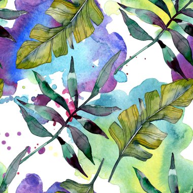 Yaprak yeşil bitki botanik. Egzotik tropik hawaiian yaz. Suluboya resim kümesi. Suluboya çizim moda aquarelle izole. Sorunsuz arka plan deseni. Kumaş duvar kağıdı yazdırma doku.