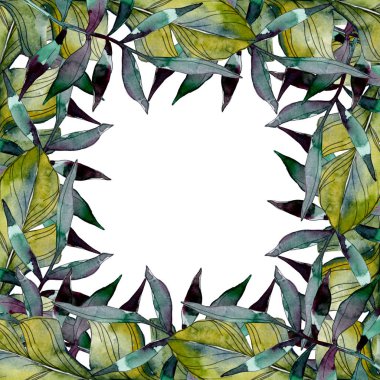 Yaprak yeşil bitki botanik bahçesi yeşillik. Egzotik tropik hawaiian yaz. Suluboya arka plan illüstrasyon küme. Suluboya çizim moda aquarelle izole. Çerçeve kenarlığı süsleme Meydanı.