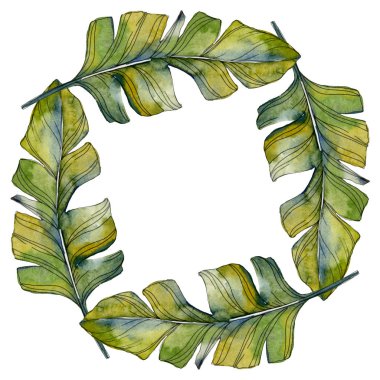 Yaprak yeşil bitki botanik bahçesi yeşillik. Egzotik tropik hawaiian yaz. Suluboya arka plan illüstrasyon küme. Suluboya çizim moda aquarelle izole. Çerçeve kenarlığı süsleme Meydanı.