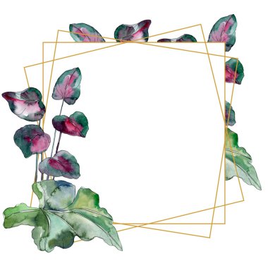 Yaprak yeşil bitki botanik bahçesi yeşillik. Egzotik tropik hawaiian yaz. Suluboya arka plan illüstrasyon küme. Suluboya çizim moda aquarelle izole. Çerçeve kenarlığı süsleme Meydanı.