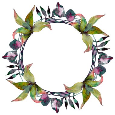 Yaprak yeşil bitki botanik bahçesi yeşillik. Egzotik tropik hawaiian yaz. Suluboya arka plan illüstrasyon küme. Suluboya çizim moda aquarelle izole. Çerçeve kenarlığı süsleme Meydanı.