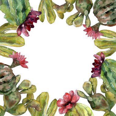 Yeşil kaktüs botanik çiçek. Vahşi bahar yaprak izole kır çiçeği. Suluboya arka plan illüstrasyon küme. Suluboya çizim moda aquarelle. Çerçeve kenarlığı süsleme Meydanı.