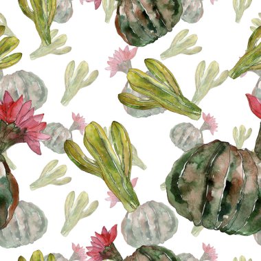 Yeşil kaktüs botanik çiçek. Vahşi bahar kır çiçeği izole. Suluboya resim kümesi. Suluboya çizim moda aquarelle. Sorunsuz arka plan deseni. Kumaş duvar kağıdı yazdırma doku.