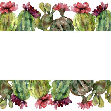 Yeşil kaktüs botanik çiçek. Vahşi bahar yaprak izole kır çiçeği. Suluboya arka plan illüstrasyon küme. Suluboya çizim moda aquarelle. Çerçeve kenarlığı süsleme Meydanı.