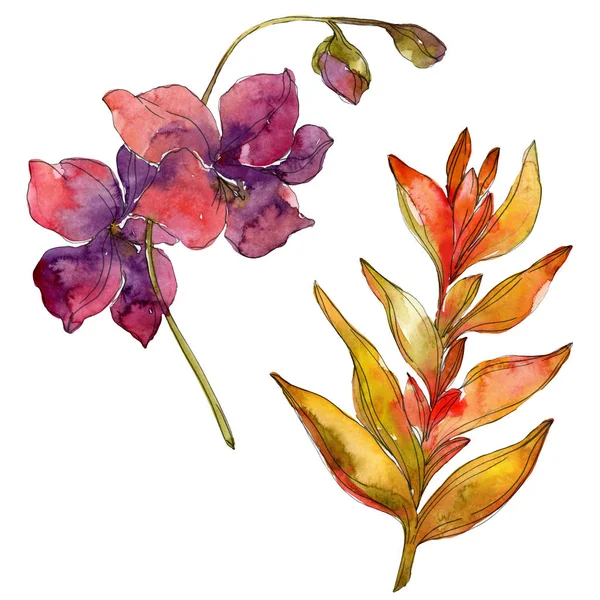 Red wildflowers isolated on white. Watercolor illustration set. 