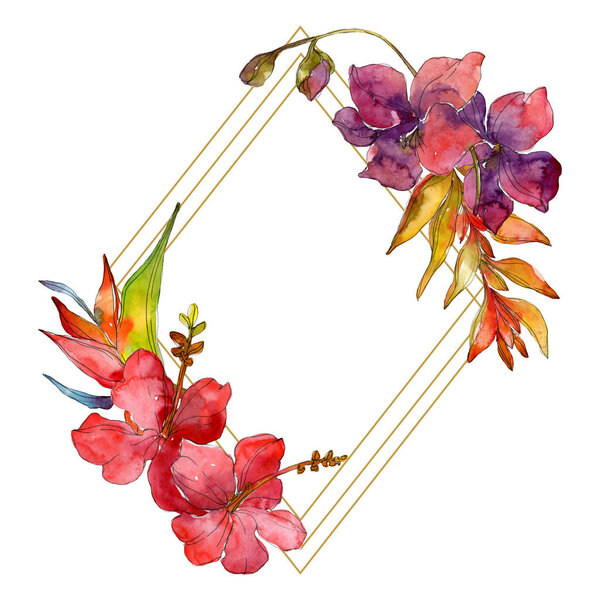 Цветы изолированы на белом. Набор акварельных фонов. Украшение рамки с копировальным пространством
.