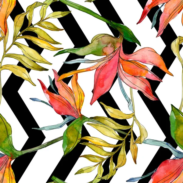 Trópusi Virág Botanikai Virágok Egzotikus Növény Levél Elszigetelt Akvarell Illusztráció — Stock Fotó
