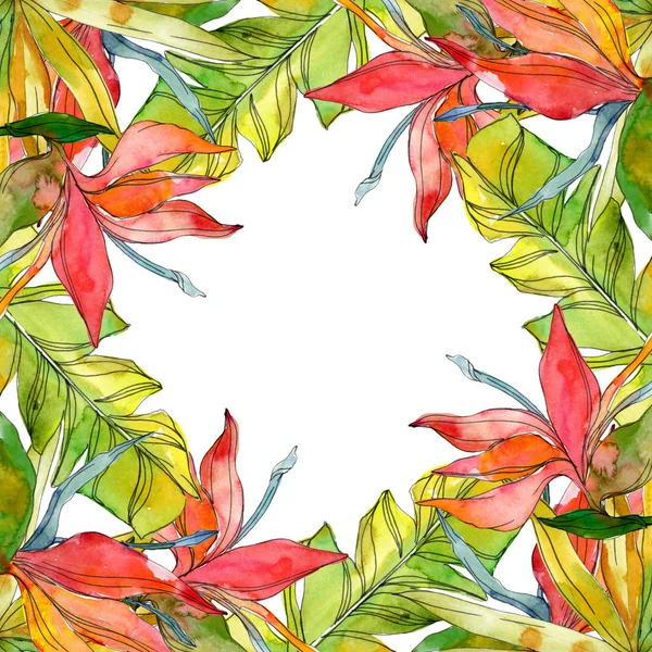 Тропические Цветочные Ботанические Цветы Экзотические Листья Растений Изолированы Набор Акварельных — стоковое фото